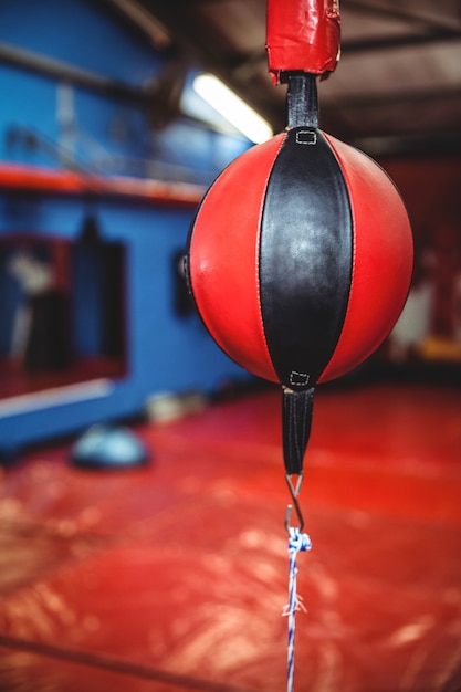 Primer plano de una pelota de boxeo de velocidad