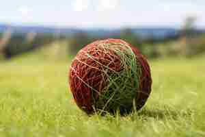 Foto un primer plano de una pelota de marn grook contra un fondo de campo verde