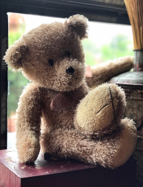 primer plano, de, peluche