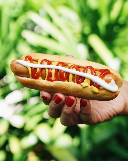 Primer plano de un perrito caliente en la mano