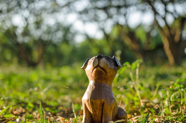 Primer plano de un perro en el campo