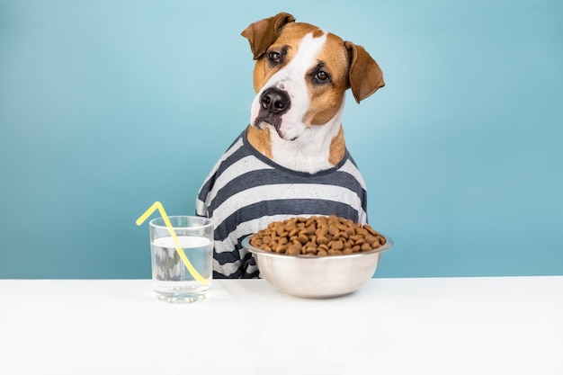 Primer plano de un perro en la mesa