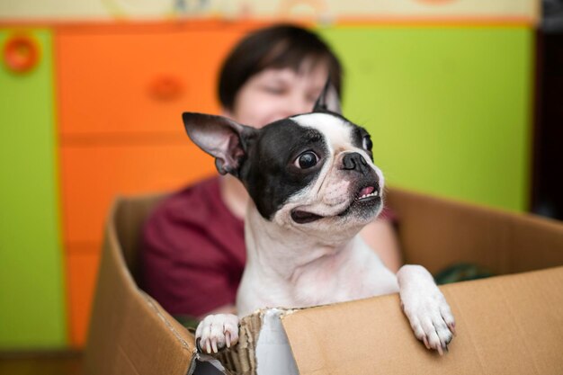 Primer plano del perro