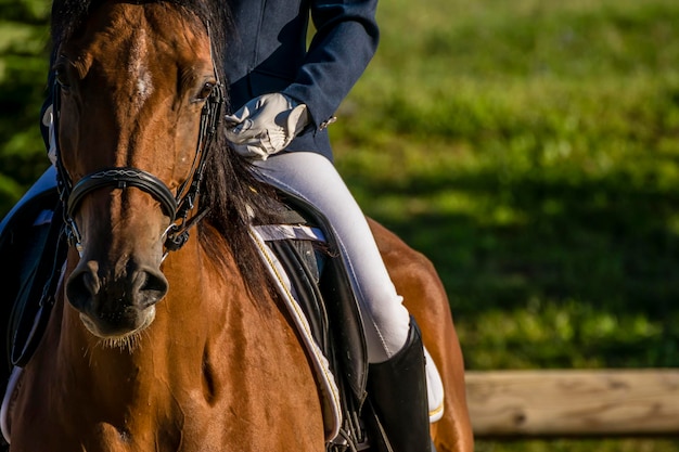 Foto primer plano de una persona montando un caballo