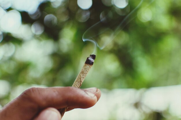 Foto primer plano de una persona sosteniendo un producto de tabaco con la mano