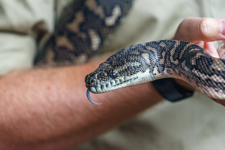 Foto primer plano de una persona tomándose de la mano