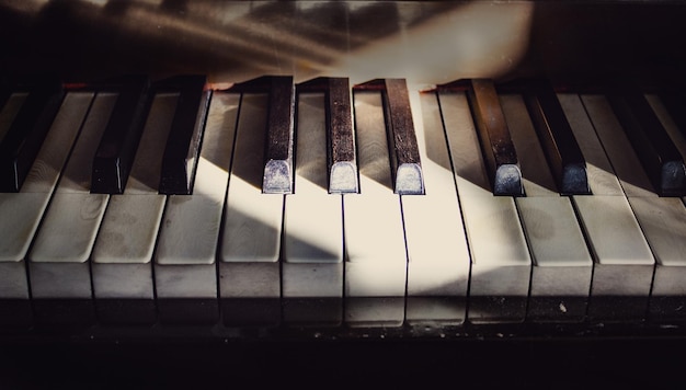 primer plano, de, piano