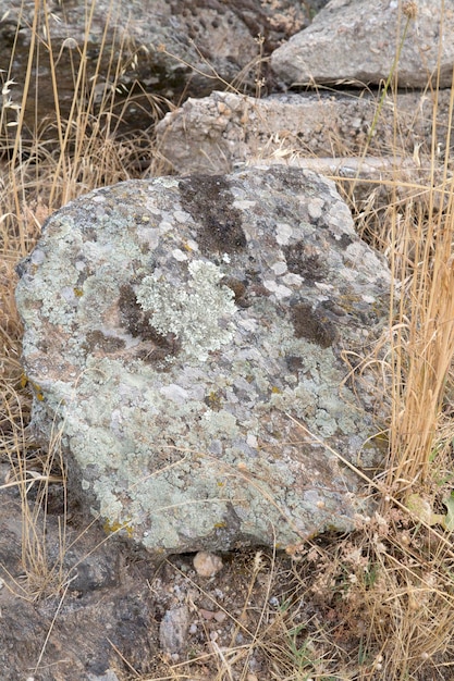 primer plano, de, piedra, en, campo