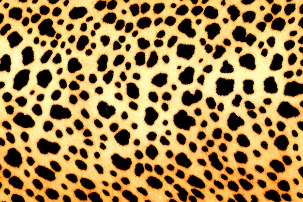 Un primer plano de una piel de leopardo con manchas negras.