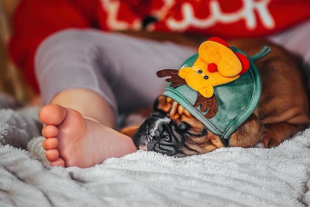 primer plano de la pierna de un niño junto a un pequeño cachorro divertido en un sombrero de Navidad con un ciervo