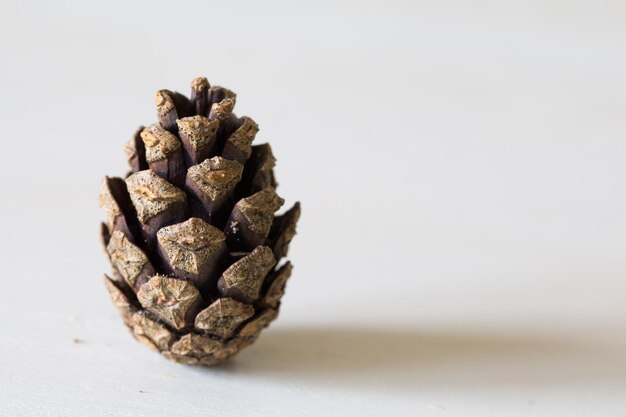 Foto primer plano de una piña contra un fondo blanco