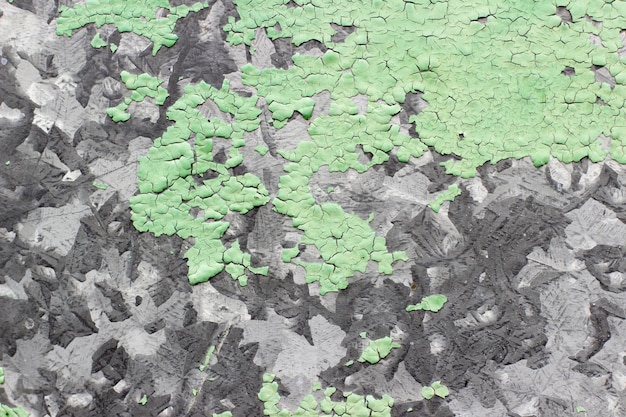 Foto primer plano de pintura verde agrietada, fondo de textura. pintura verde agrietada sobre fondo gris
