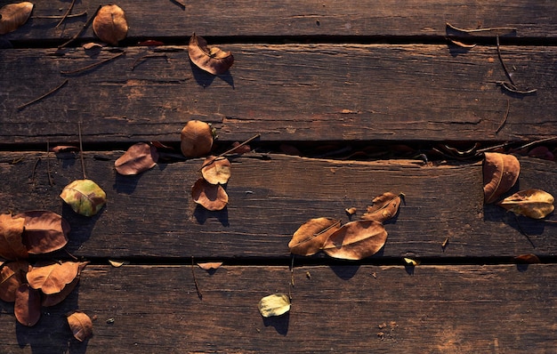 Un primer plano de un piso de madera con hojas