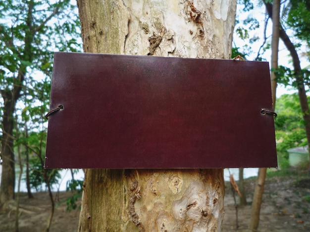 Primer plano de placa de madera marrón en blanco para mostrar información sobre el tronco de árbol