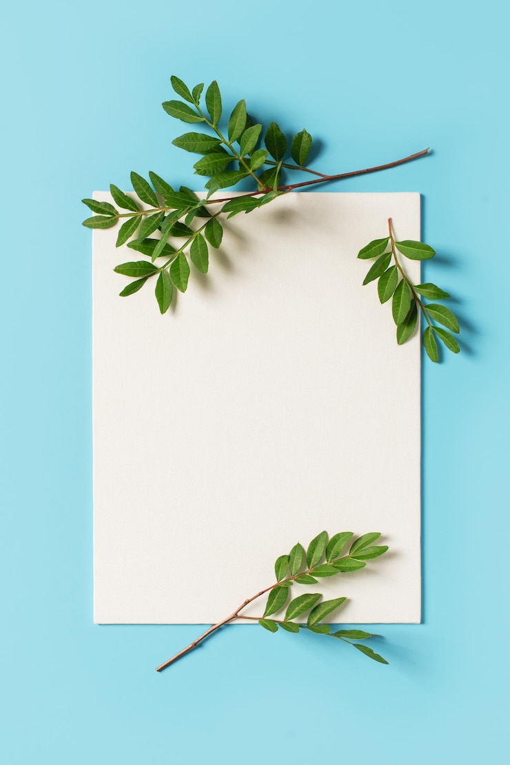Foto primer plano de la planta contra un fondo blanco