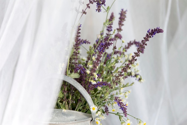 Foto primer plano de una planta con flores púrpuras