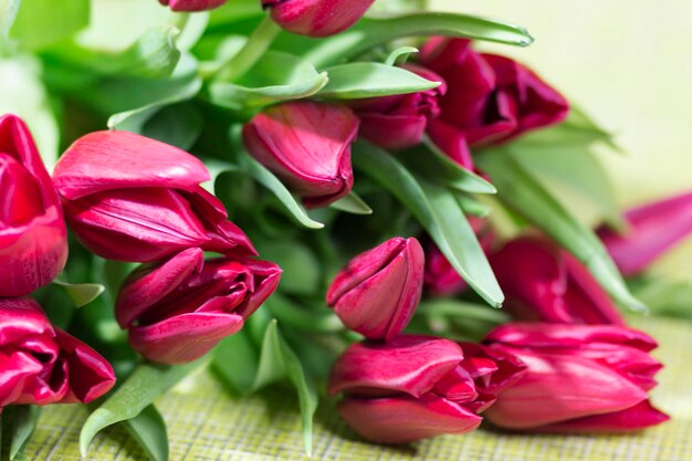 Foto primer plano de una planta con flores rosas