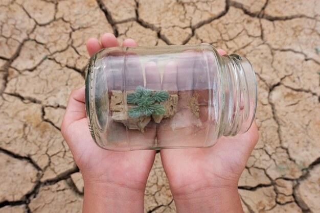 Primer plano de una planta en un frasco sobre un campo estéril