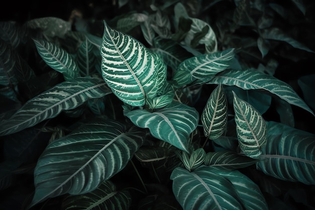 Un primer plano de una planta con hojas verdes