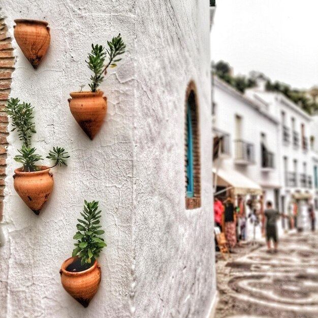 Foto primer plano de una planta en maceta frente a un edificio