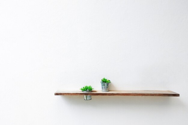 Primer plano de una planta en maceta en la mesa contra un fondo blanco