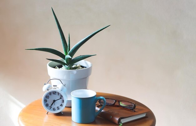 Primer plano de una planta en maceta en la mesa contra la pared