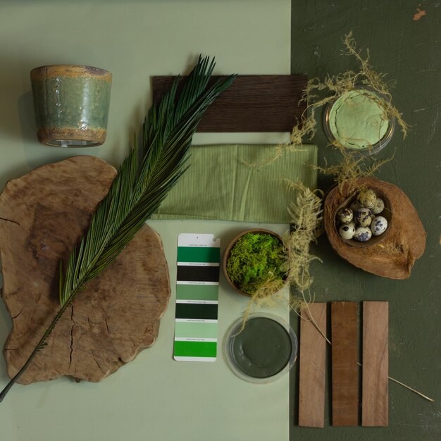 Foto primer plano de una planta en maceta en la mesa