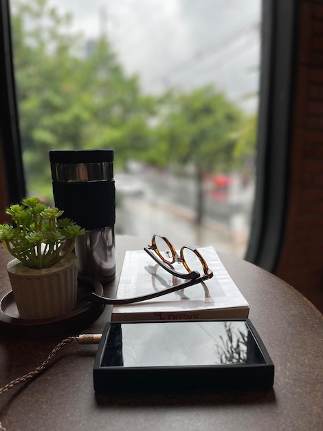 Foto primer plano de una planta en maceta en la mesa