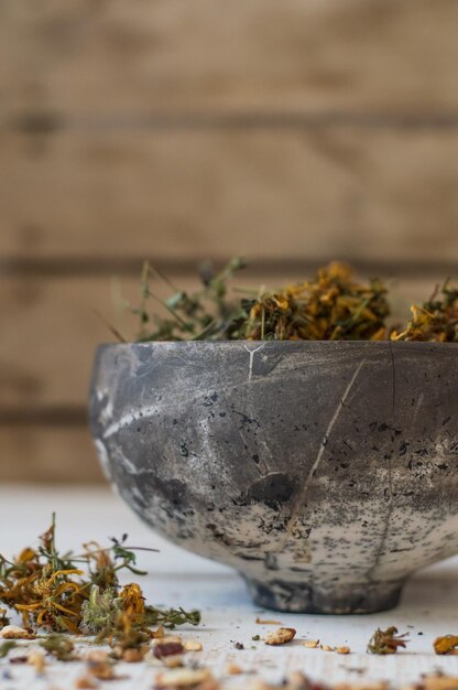 Primer plano de una planta en maceta en la mesa