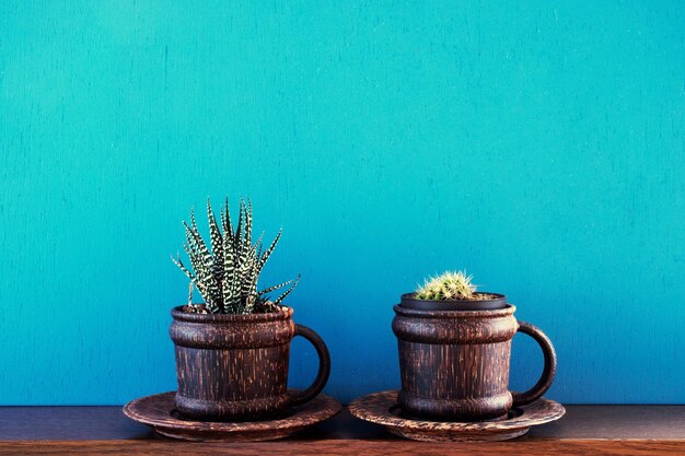 Foto primer plano de una planta en maceta en la mesa