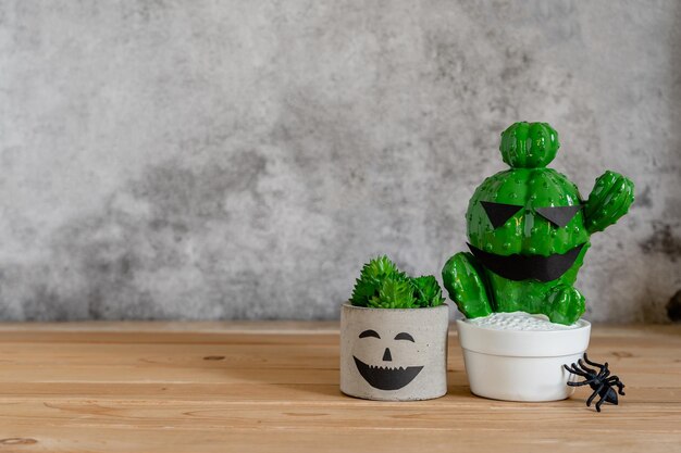 Foto primer plano de una planta en maceta en la mesa