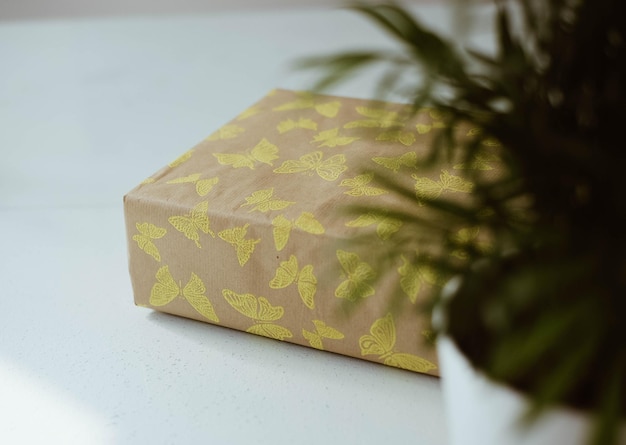 Primer plano de una planta en maceta y un regalo envuelto en el suelo de casa