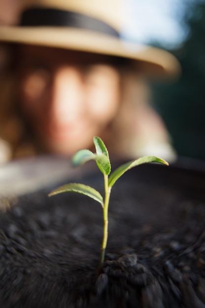 Foto primer plano de una planta pequeña