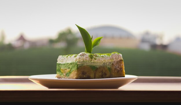 Foto primer plano de la planta en el plato sobre la mesa