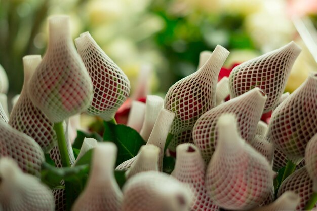 Foto primer plano de plantas de flores blancas en una canasta