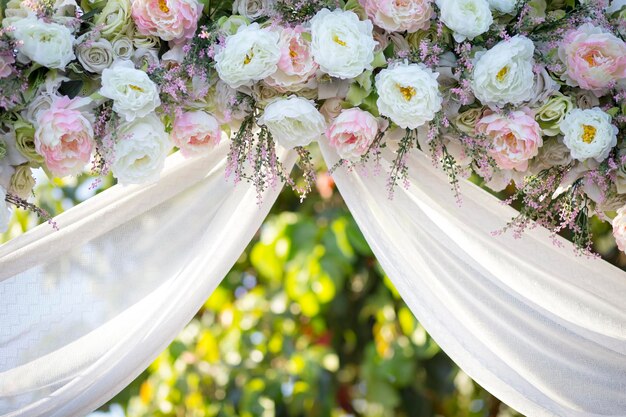 Foto primer plano de las plantas de flores blancas