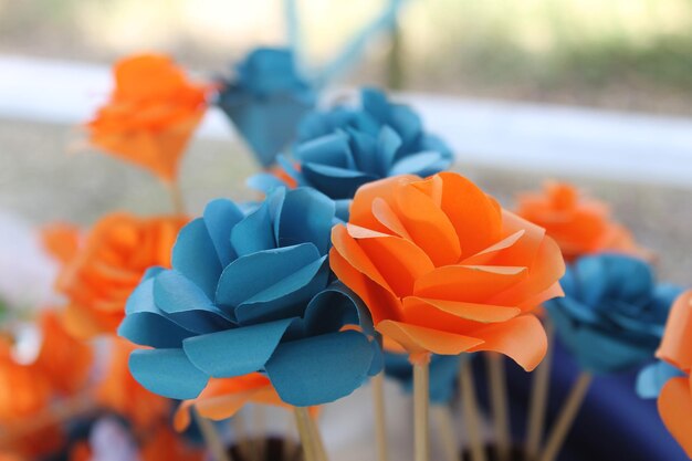 Foto primer plano de las plantas con flores de naranja