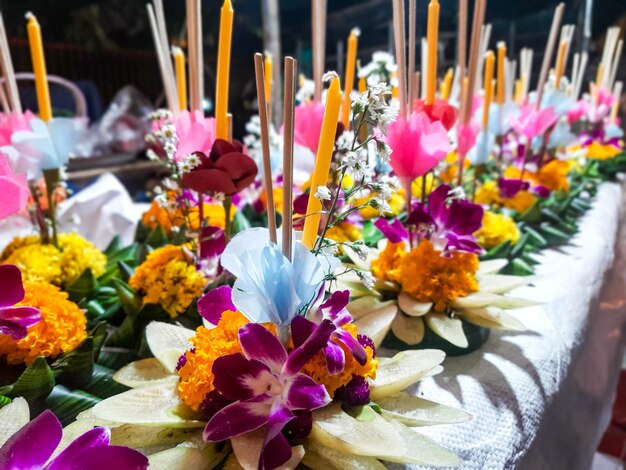 Primer plano de las plantas con flores púrpuras