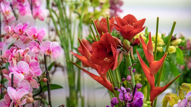 Foto primer plano de las plantas con flores rosadas