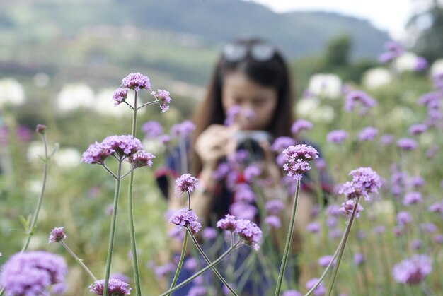 Foto primer plano de las plantas con flores rosas en el campo