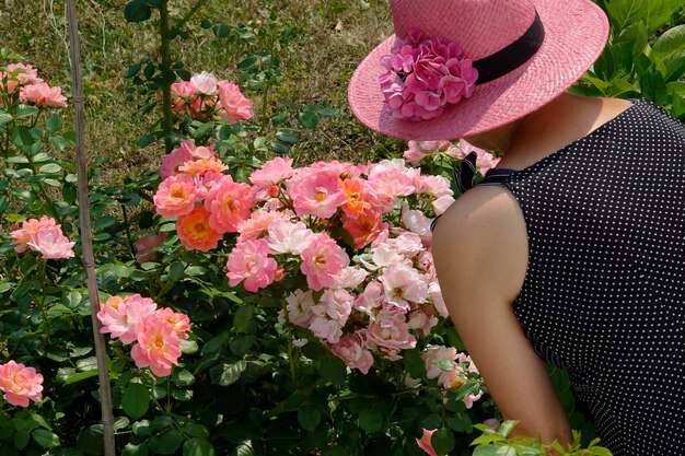 Foto primer plano de las plantas con flores rosas