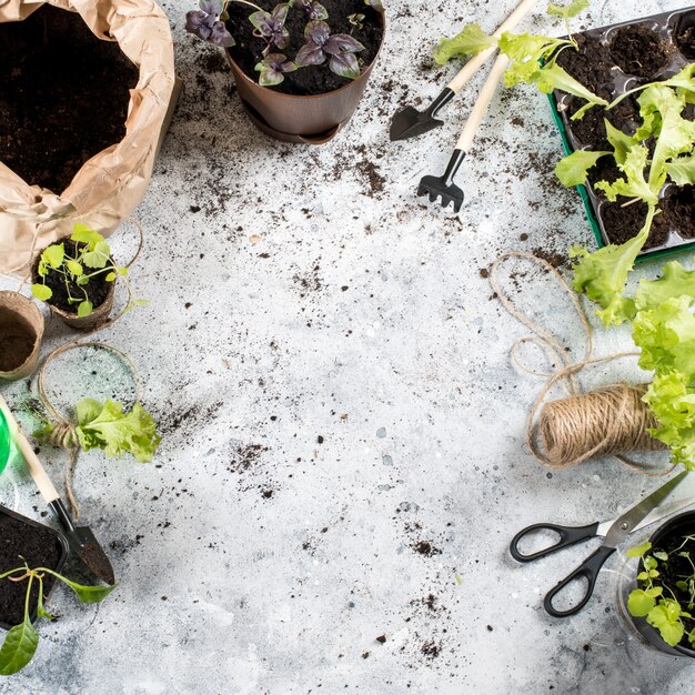 Primer plano de plantas y herramientas de jardinería.