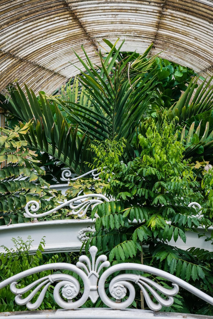 Foto primer plano de las plantas en maceta