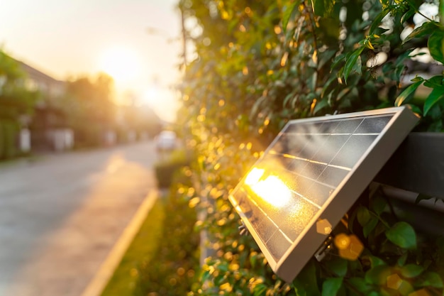 Primer plano de las plantas que crecen en el campo contra el cielo