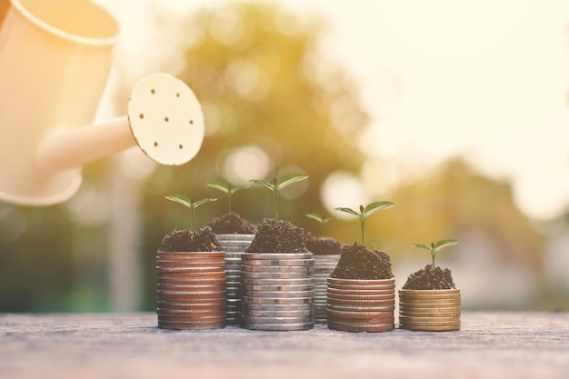 Primer plano de las plantas que crecen en las monedas