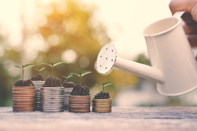 Primer plano de las plantas de riego a mano en las monedas