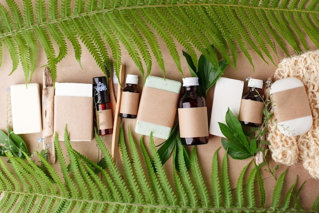 Primer plano de las plantas