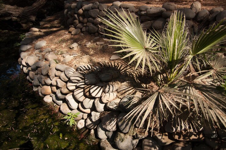 Foto primer plano de las plantas