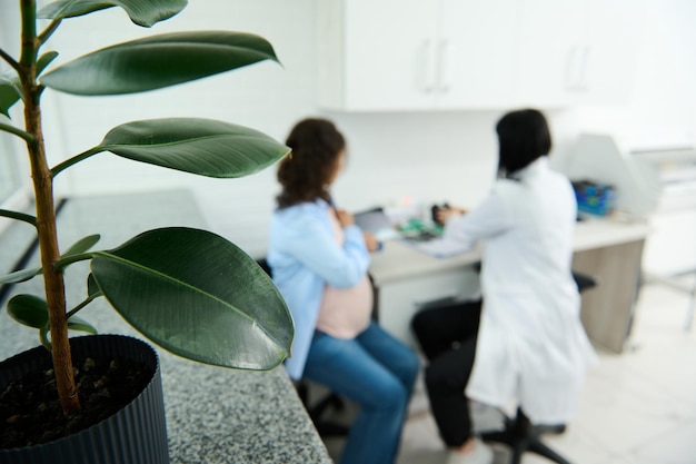 Foto primer plano de las plantas