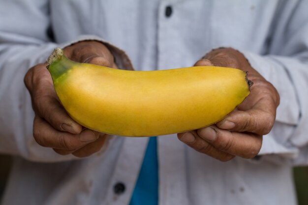 Primer plano de plátano fresco